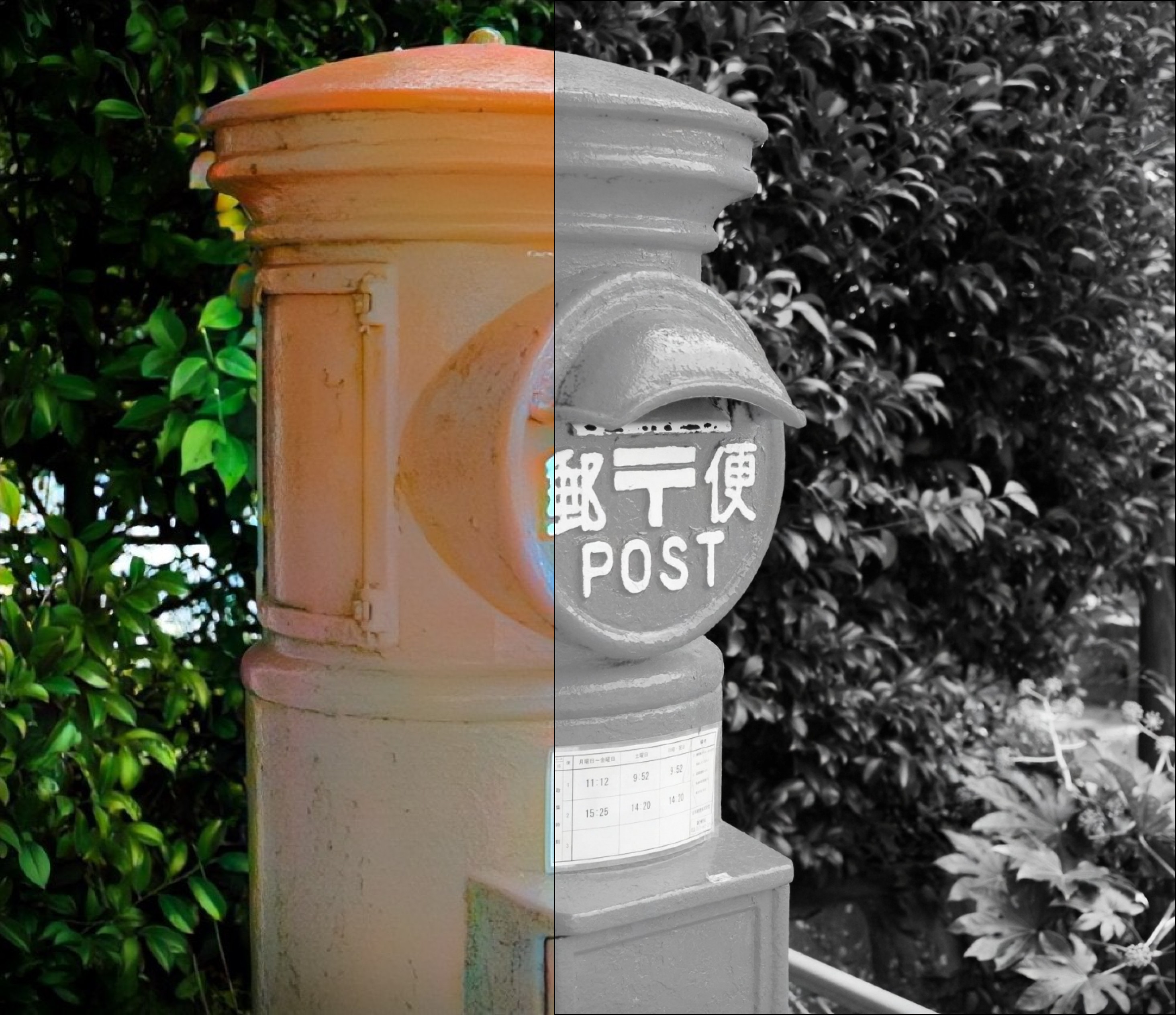 AI画像カラー化